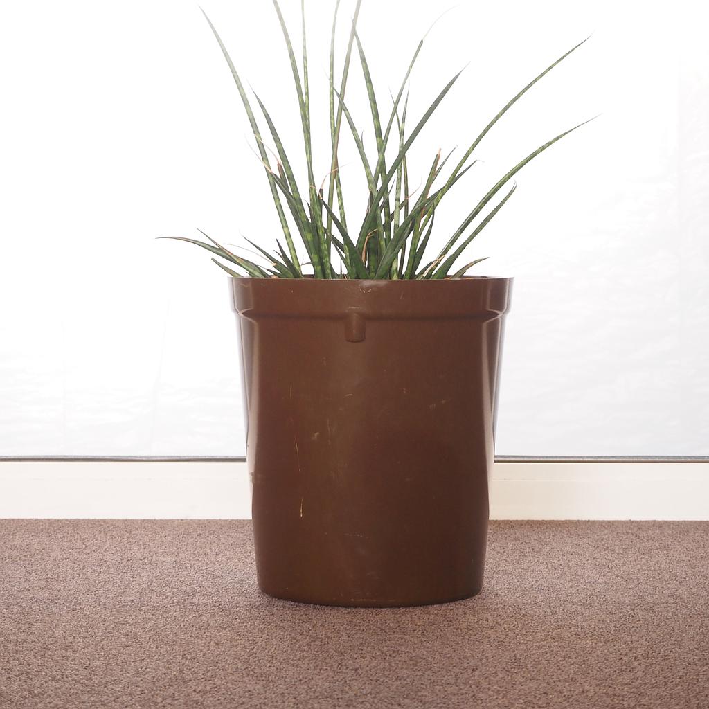 [901FUR501] Waste bin in bakelite - Dark brown