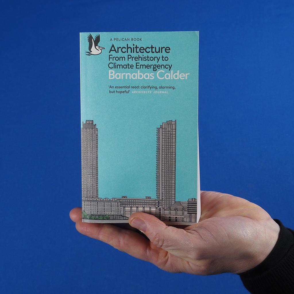 Book 'Architecture: from prehistory to climate emergency' by Barnabas Calder
