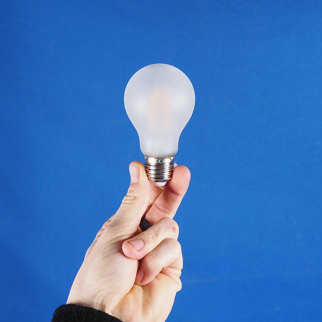 [8719172610857] Bulb 'Filament Led Bulb 60MM' by Snoerboer (4W, E27, Dimmable) - Frosted glass