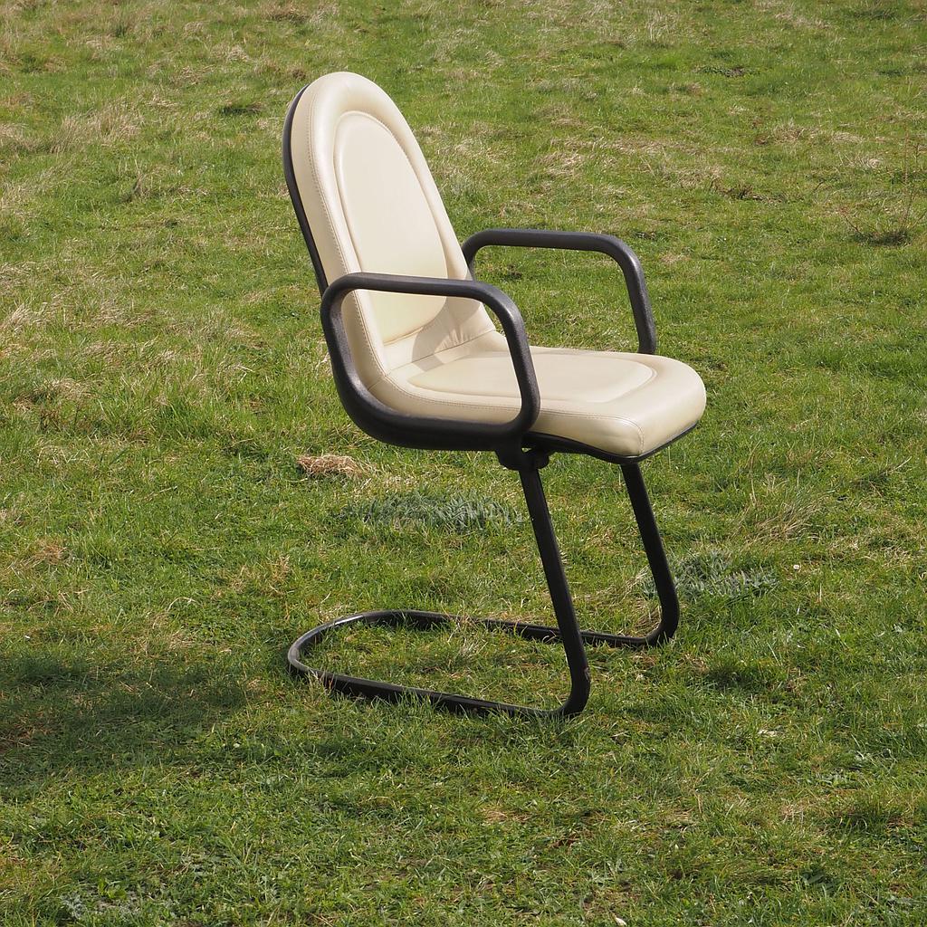 S type best sale chair godrej