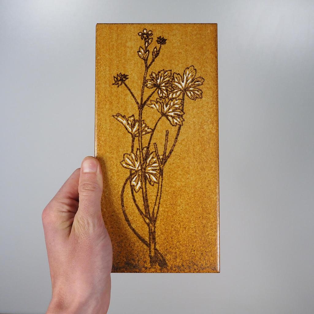 [333CLA001] Wall ceramic tile by Alfa Ceramiche (24,7 x 12,3 cm)