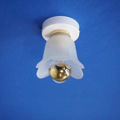 [999LIG1242] Wall/Ceiling light 'Olivia' in frosted glass