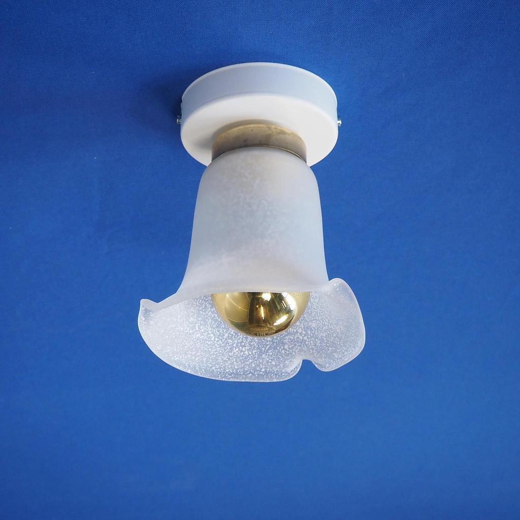 [999LIG1245] Wall/Ceiling light 'Fairuz' in frosted glass