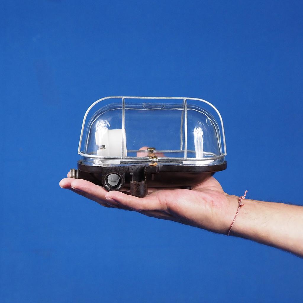 [999LIG1366] Caged wall/ceiling light with bakelite base, steel cage and clear glass diffuser (Bayonet)