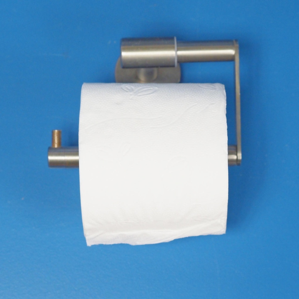 [999SAN1053] Swivel toilet roll holder in stainless steel by Tiger