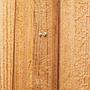 Door in solid pine (various sizes) - Right/Left