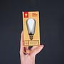 Bulb 'Filament Led Edison 64MM' by Snoerboer (4,5W, E27, Dimmable) - Satin opal glass