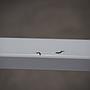 Workshop shelf in steel by Provost (5 modules) - Light grey