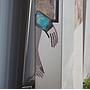 Set of aluchromie panels by Ralph Cleeremans (285 cm high) - Set 02