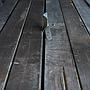 Glued laminated timber offcuts (various lengths) - Only available in our physical shop