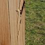 Glued laminated timber panel