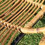 Rattan armchair 'Twine AC' by Satelliet