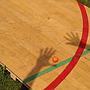 Gymnasium flooring panel in varnished solid beech (222 x 122 cm) - Sold per panel