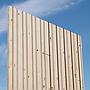 Gymnasium panel in cross-laminated timber with maple veneer (222 x 122 cm) - Sold per panel