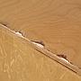 Bench in plywood by Lionel Jadot