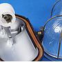 Caged wall/ceiling light with bakelite base, steel cage and textured glass diffuser