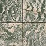 Cement tile 'Eruditio' by SVK (15,2 x 15,2 cm) - Sold per m2