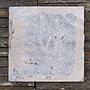 Cement tile 'Eruditio' by SVK (15,2 x 15,2 cm) - Sold per m2