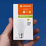 Bulb "Ledvance classic A40 frosted glass" (bayonet) Energy class E