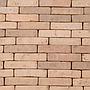 Terracotta brick pavers by Wienerberger (19,5 x 4,5 cm)