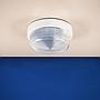 Wall/Ceiling light with textured glass diffuser by Legrand (IP44)