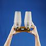 Wall sconce with textured glass diffusers