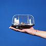 Caged wall/ceiling light with bakelite base, steel cage and clear glass diffuser